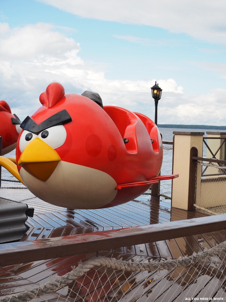 angry birds